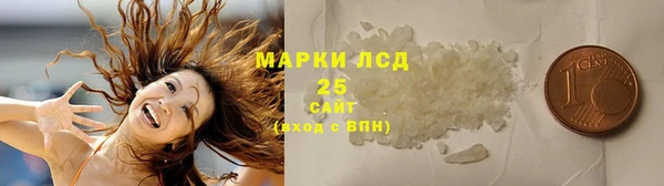 индика Арсеньев