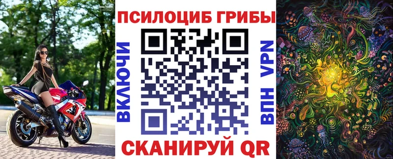 Псилоцибиновые грибы MAGIC MUSHROOMS  Купить  Ростов 