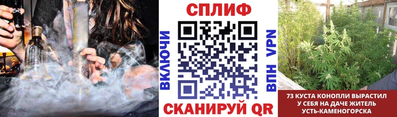Бошки марихуана Amnesia Ростов